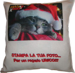 Cuscino Bicolore
